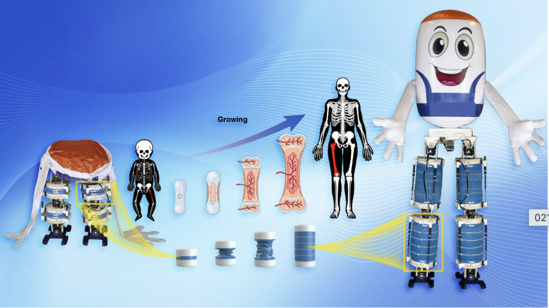 Robotics market report